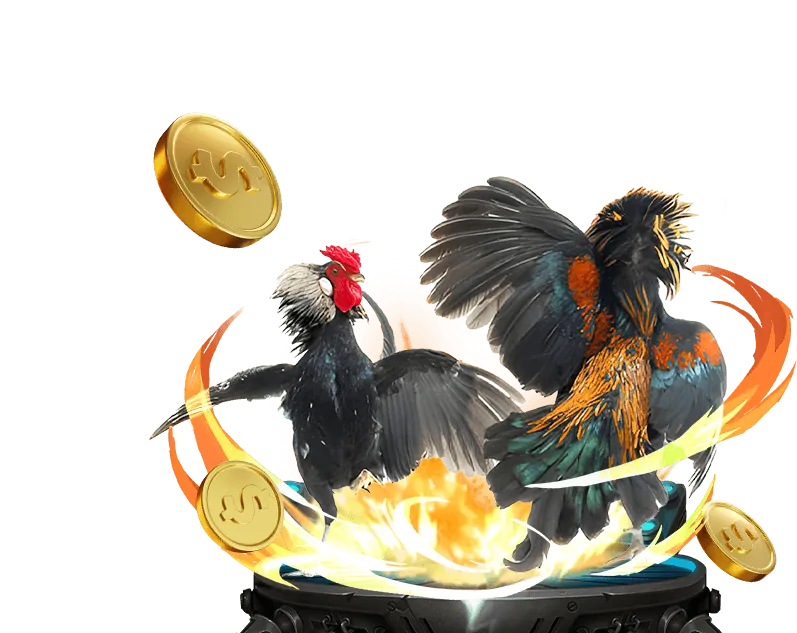 Tổng quan thương hiệu BKWIN